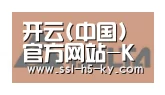 开云官网合作伙伴六